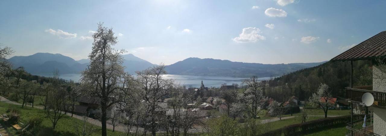 Attersee-Chalet Angermann Familie Spalt Steinbach am Attersee Bagian luar foto