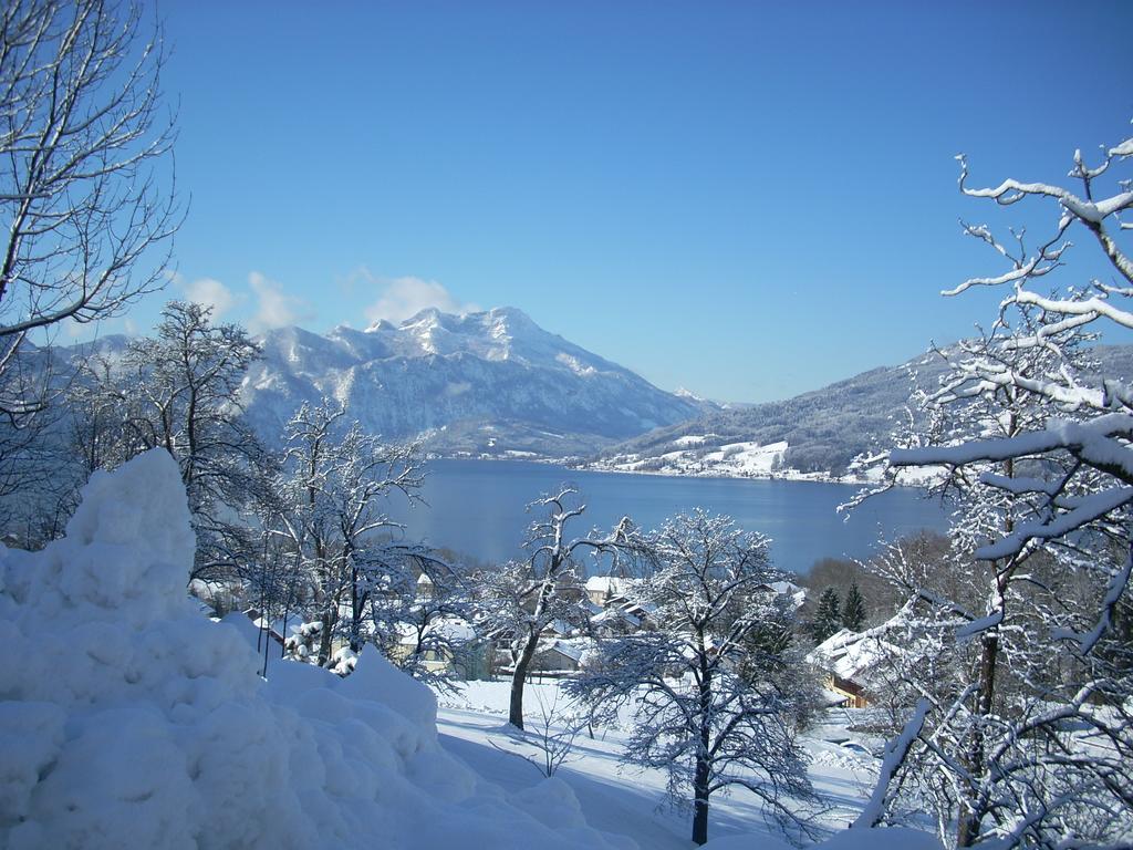 Attersee-Chalet Angermann Familie Spalt Steinbach am Attersee Bagian luar foto